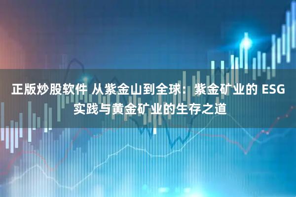 正版炒股软件 从紫金山到全球：紫金矿业的 ESG 实践与黄金矿业的生存之道